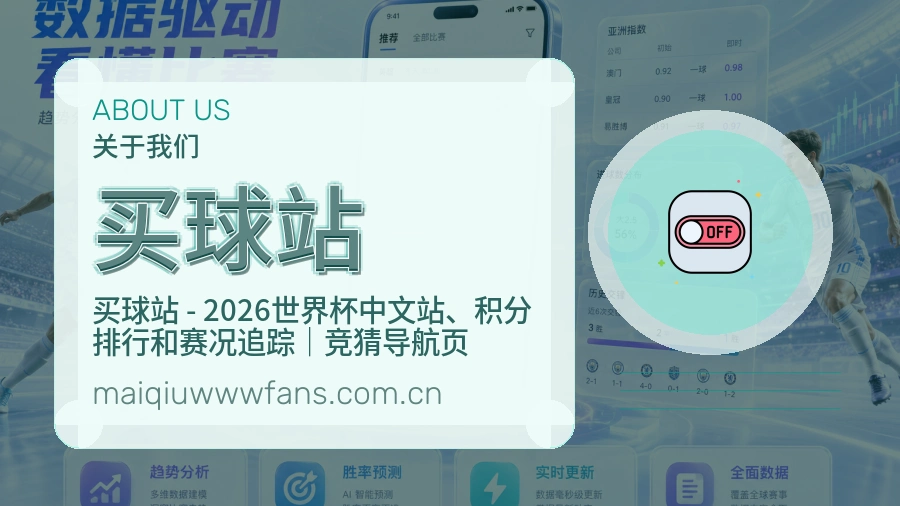买球站关于我们与赛事数据整理展示